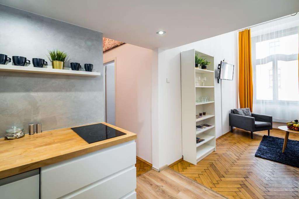 Royal City Apartment 40 M2 كراكوفيا المظهر الخارجي الصورة